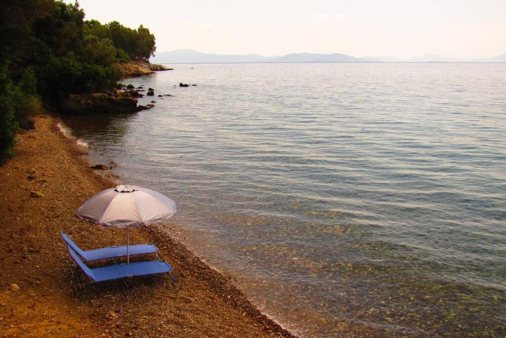 Christie'S Ground Floor Apartment By The Sea Kato Gatzea Luaran gambar